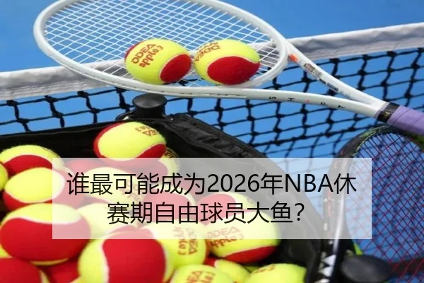谁最可能成为2026年NBA休赛期自由球员大鱼？